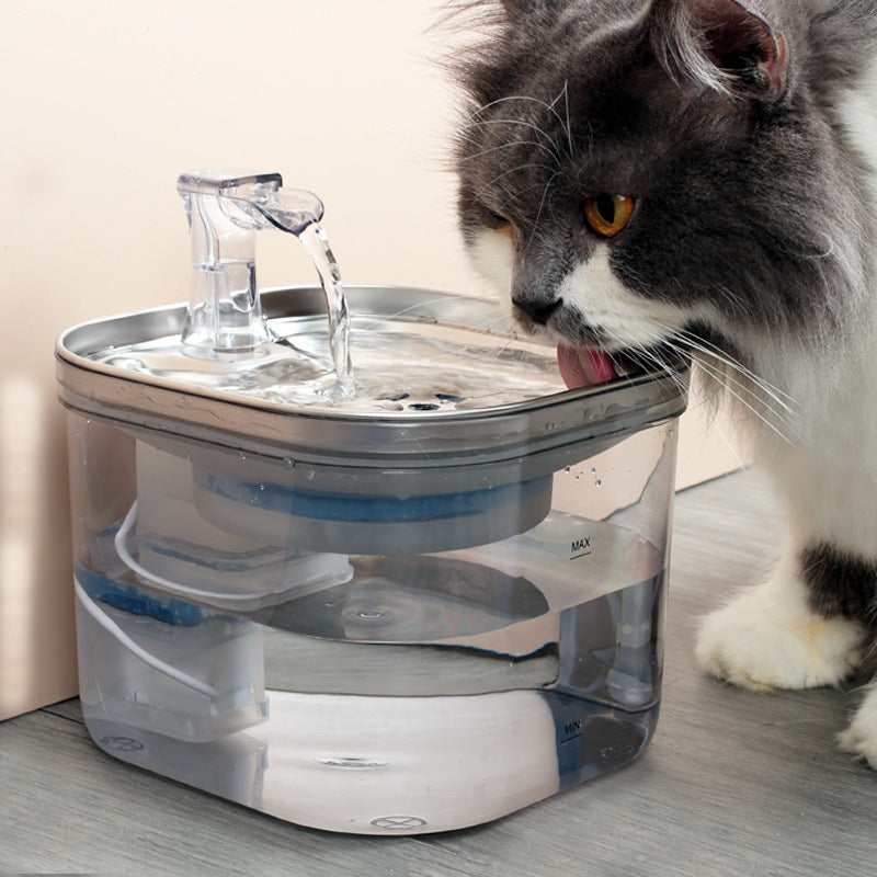 Stainless Steel Cat Water Fountain – Motion Sensor Starter Kit